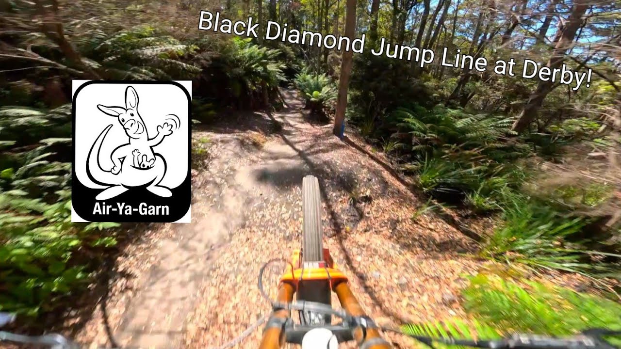 Air-Ya-Garn at Blue Derby Tas! 