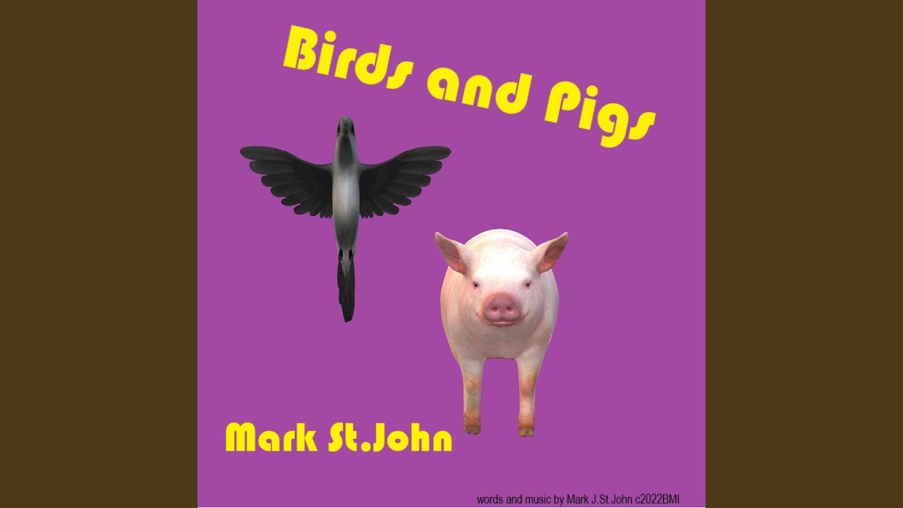 Birds and Pigs YouTube