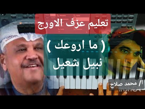 تعليم عزف الاورج اغنية ما اروعك الفنان نبيل شعيل