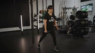 Dumbbell Split Squat