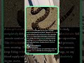 Why This DEAD Snake Can Still Bite You! 🐍 #Nature #Scary #Wildlife