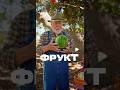 АРБУЗ ЭТО ФРУКТ ?! #арбуз #факты #интересно #лето #фрукты