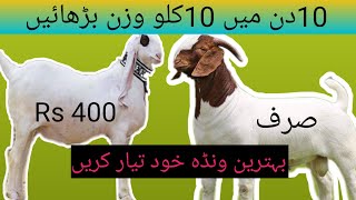 گوشت بڑھانے کا ونڈہ | Qurbani ky janwron ka nihtrin wanda | Goat weight gain wanda | Bakra palny ka