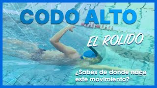 ▷ Aprende a NADAR desde 0 🏊 | El ROLIDO 🌪