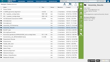 BV-BRC Workspace introduction and use