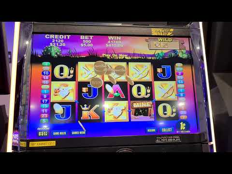 Max bet huge win on where's the gold pokie