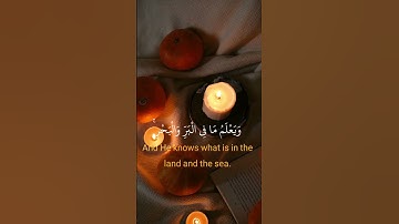 وعنده مفاتح الغيب لا يعلمها إلا هو محمد شحات الأنعام الآية 59 #القرآن #المصحف #اكسبلور #الله #محمد