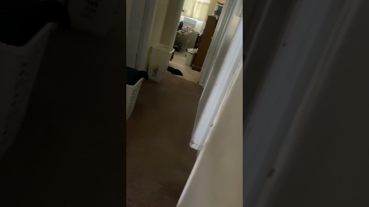 Damn moms be big mad