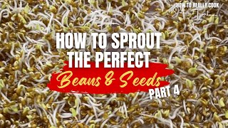 How to Sprout Beans &amp; Seeds (Part 4) | Mung | Pinto | Yellow Mustard | Alfalfa | Sprouting Trays