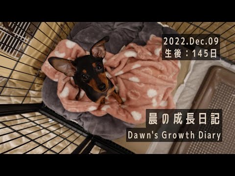 晨の成長日記 生後145日 お泊り保育初日