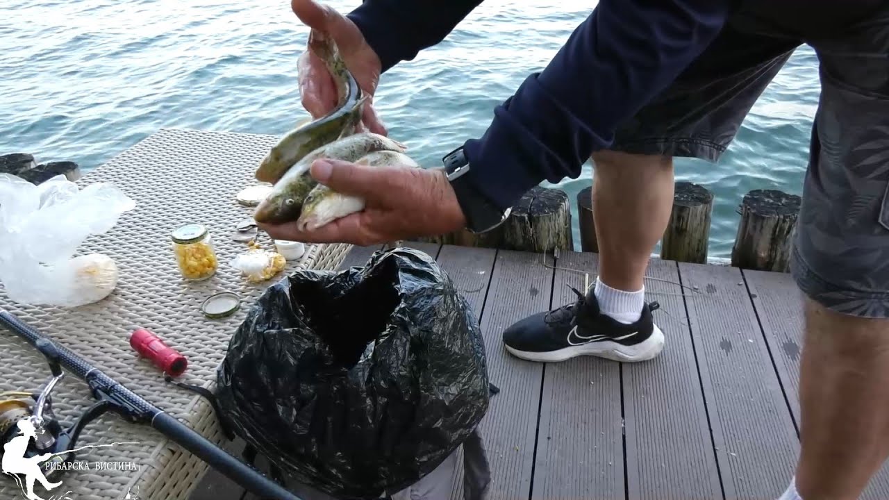 Крупни охридски мрени — риболов со олово на дно! Охридски рибари #рибарскавистина #риболов #pecanje
