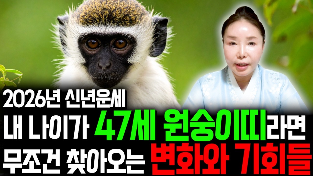 2026년 병오년 47세 원숭이띠에게 무조건 찾아오는 변화와 기회들은?! 향후 10년을 책임질 대운이 찾아온다?! 2026년 병오년 1980년생 47세 원숭이띠 운세