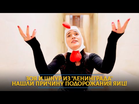 Зоя и Шнур из "Ленинграда" нашли причину подорожания яиц!