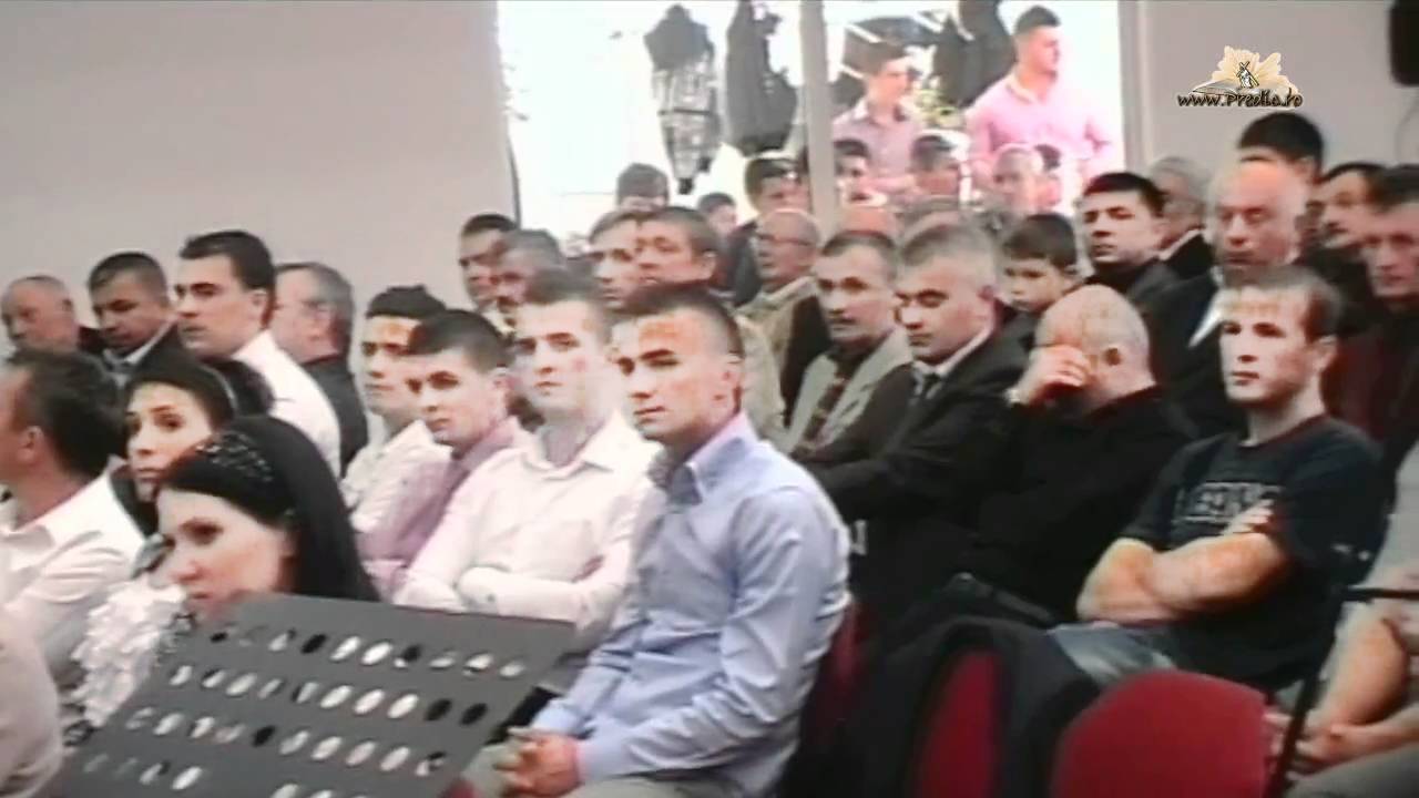 vasile oprea in haine albe zippy vasile oprea in haine albe zippy