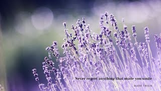 [1HR, Repeat] Ladies in Lavender OST