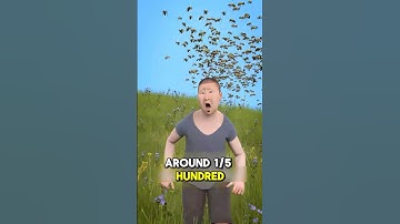 🫢 1,500 Bees SWARM Attack: The Shocking Truth! 🐝⚡