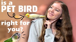 SHOULD YOU GET A PET BIRD? 🦜 | What you should know before bringing home a parrot!