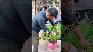 Zhade Lava Zhade Jagvagentsbarbershop hairstyle gentssalon hairdresser barber