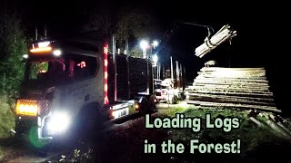 Timber Truck Loading | Cassie Rides Along [Swedish with Subtitles]