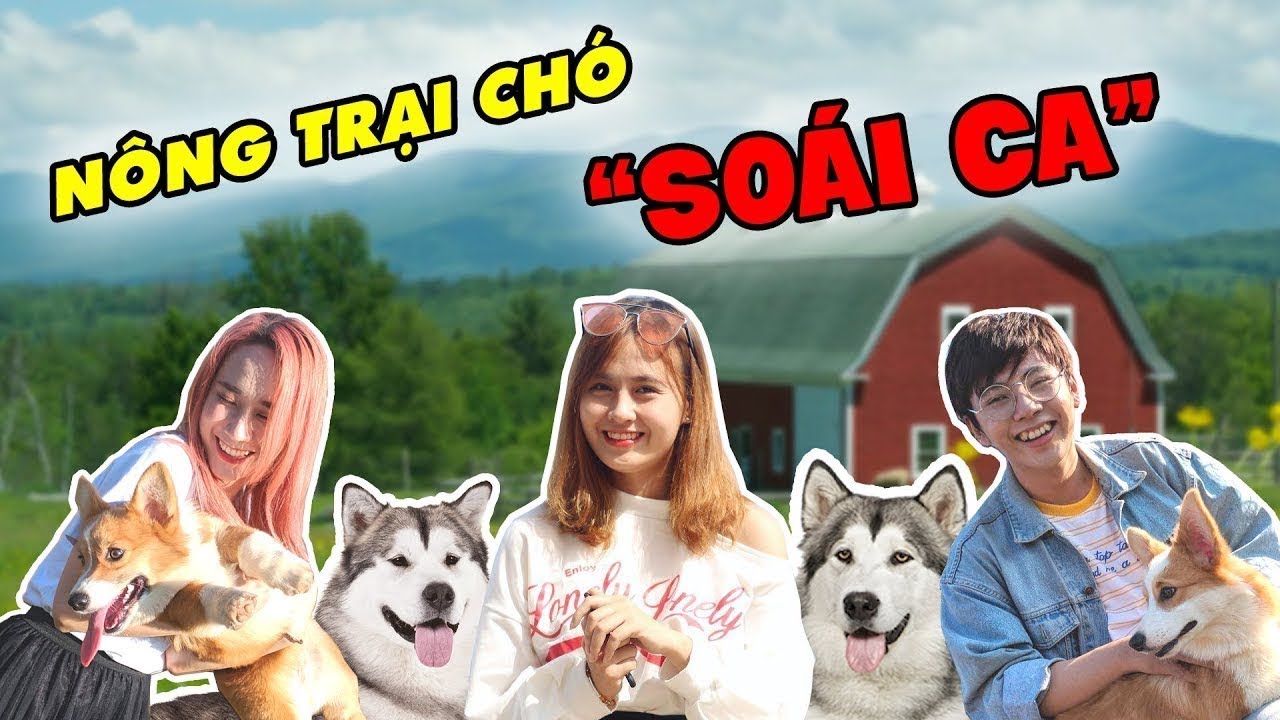 Phát hiện trang trại "soái chó" cực đẹp ở Đà Lạt
