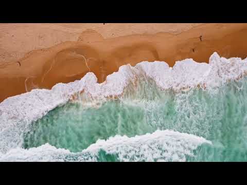 على أبوابكم عبد ذليل نشيد في غاية الروعة أسامة الصافي نسخة مؤثرات 