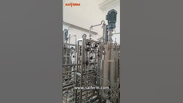 Saiferm 100L Multistage parallel bioreactor  #bioreactor #fermenter #factory