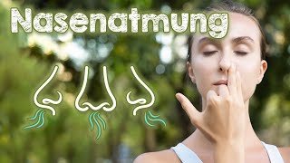 Nasenatmung 👃 Voraussetzung zum gesund sein und gesund bleiben. Du musst sie trainieren!