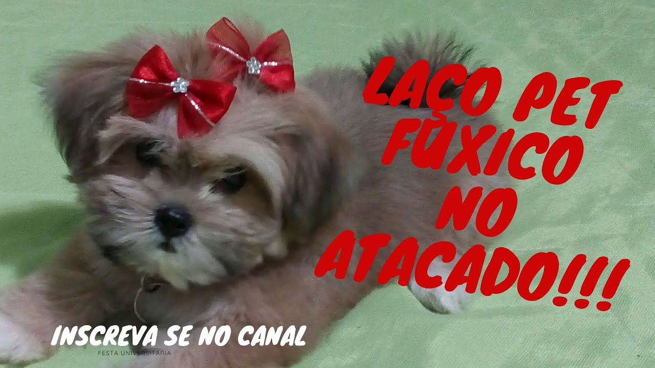 🎀🐕COMO FAZER LAÇO PET FUXICO NO ATACADO🎀🐕,  laços pet para vender, lacinhos para cachorro🎀