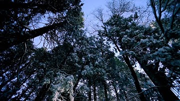 "Chapter 8" Music Video