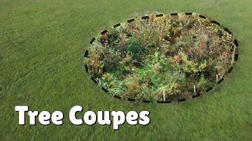 An Effective way of implementing TREES on the Irish FARM!