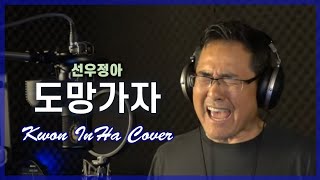 권인하 - 도망가자  (원곡 : 선우정아 / 편곡 팀 라쿤) 커버 cover 원테이크