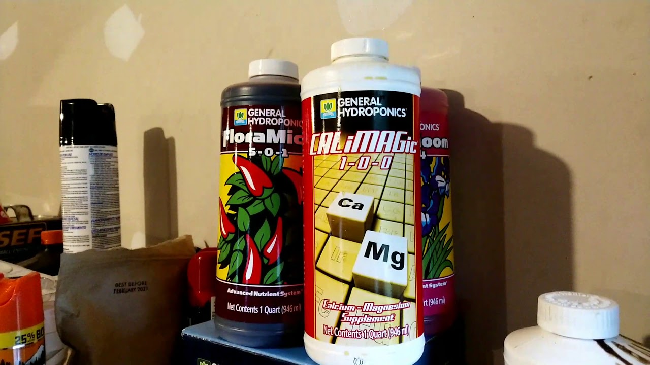 Week 15 Outdoor Grow Update and Summary #1