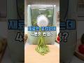 재료만 넣었는데 4분컷… 수제면이 나왔어요 #자동반죽제면기 #수제면만들기 #칼국수만들기