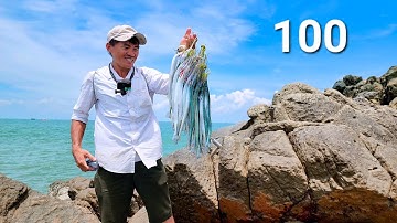 Thử thách câu 100 con cá xương xanh