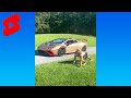 Man vs. Lamborghini #Shorts