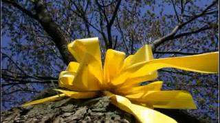 Watch Lawrence Welk Tie A Yellow Ribbon round The Ole Oak Tree video