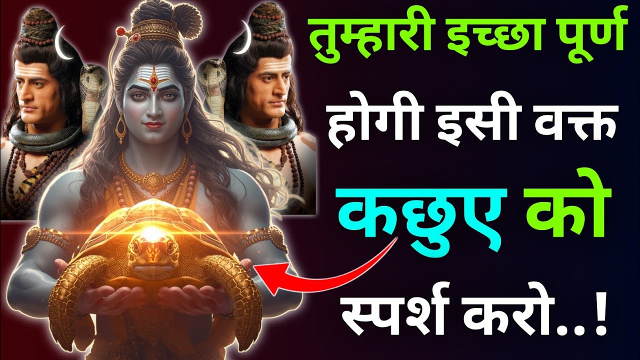 तुम्हारी इच्छा 🕉️ पूर्ण होगी इसी वक्त कछुए 🐢 स्पर्श करो |Mhadev Updesh |Mhadev Vichar |Mhadev Vani 