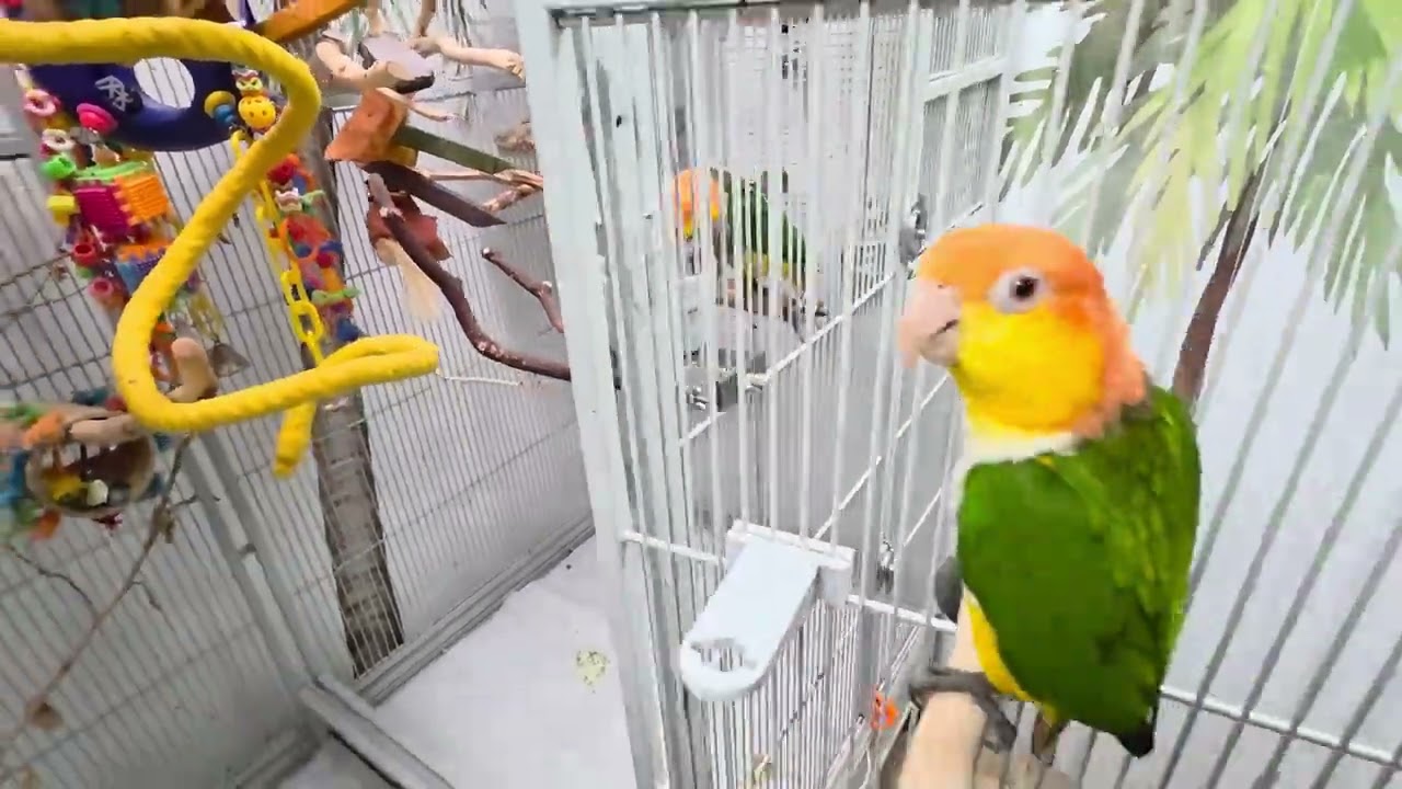 Снова приветствуем вас на сегодняшнем видео о раздаче фарша 😎