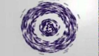 Videocon D2H 005.Flv