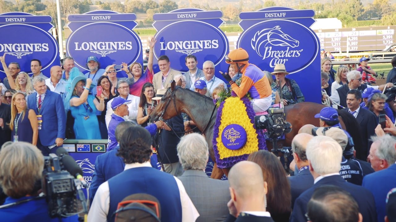 kentucky derby winner 2019 Beholder By a Bob