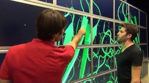 Accuracy of Deictic Gestures to Support Telepresence on Wall-sized Displays