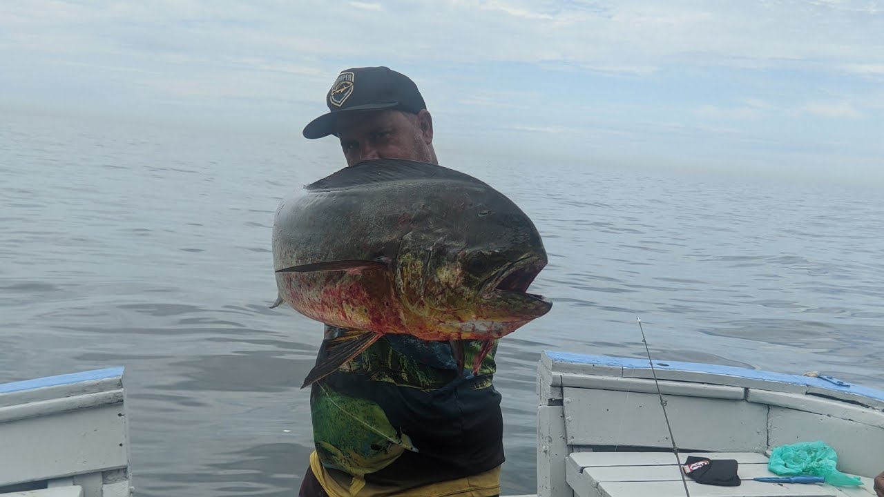 PESCARIA DE DOURADOS  11.01.2022  REI MARINE RIO DE JANEIRO