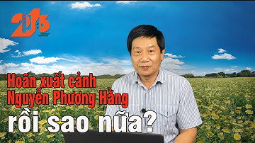 Hoãn xuất cảnh bà Nguyễn Phương Hằng, rồi sao nữa? #Diendan216