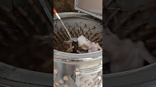 Stainless Steel Chicken Plucker Machine