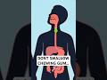What Happens If You Swallow Chewing Gum? 🤔