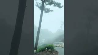 #ootytrip #monsoon2024 #trendingsong #bollywood #trendiing