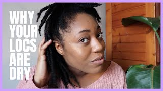 Why Your Locs Are Dry | VLOGMAS VII