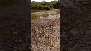 Cari Batu Akikdi Sungai Aceh...dapet Batu Asli (Asli Batu)
