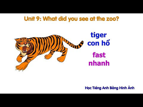Video Unit 9: What did you see at the zoo? Tiếng anh lớp 5 - youtube