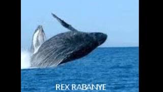 REX RABANYE - Falling leaves